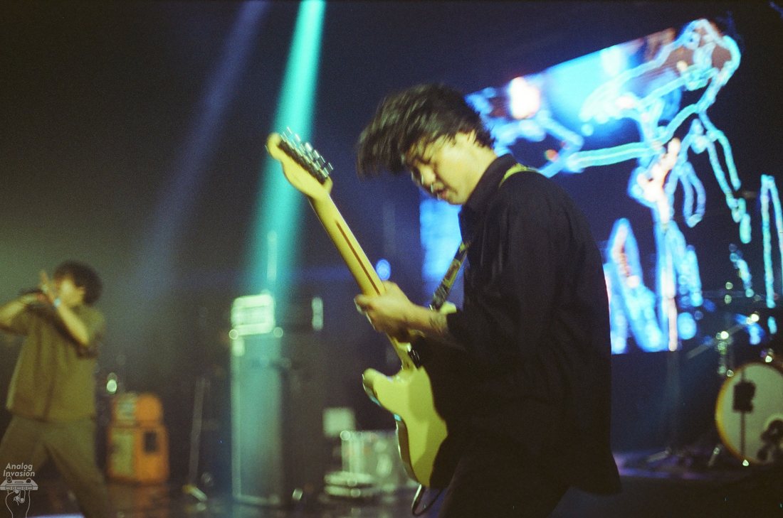 Hollow Jan live